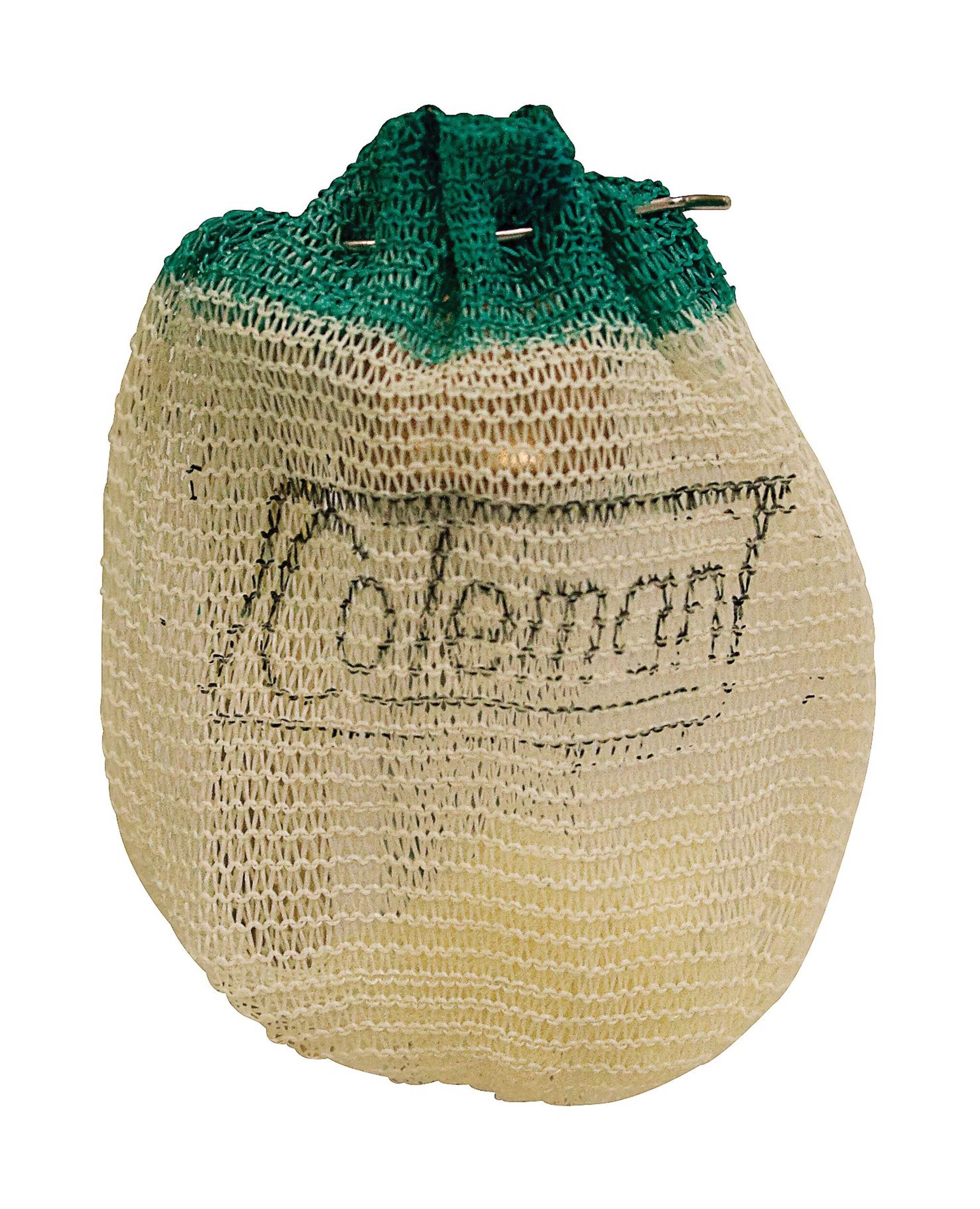 Coleman Insta-Clip Standard Shape #21 Lantern Mantles, Green & White, 2-pk Front_Flat