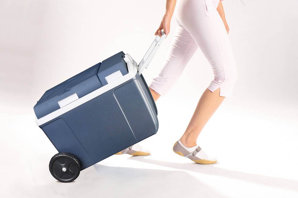 Mobicool W38 AC/DC Cooler/Warmer, 37L Canadian Tire