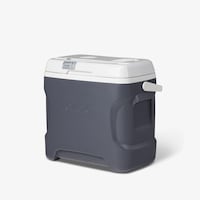 Igloo Versatemp™ 28 Qt Portable Electric Cooler, 12V Powered, Grey