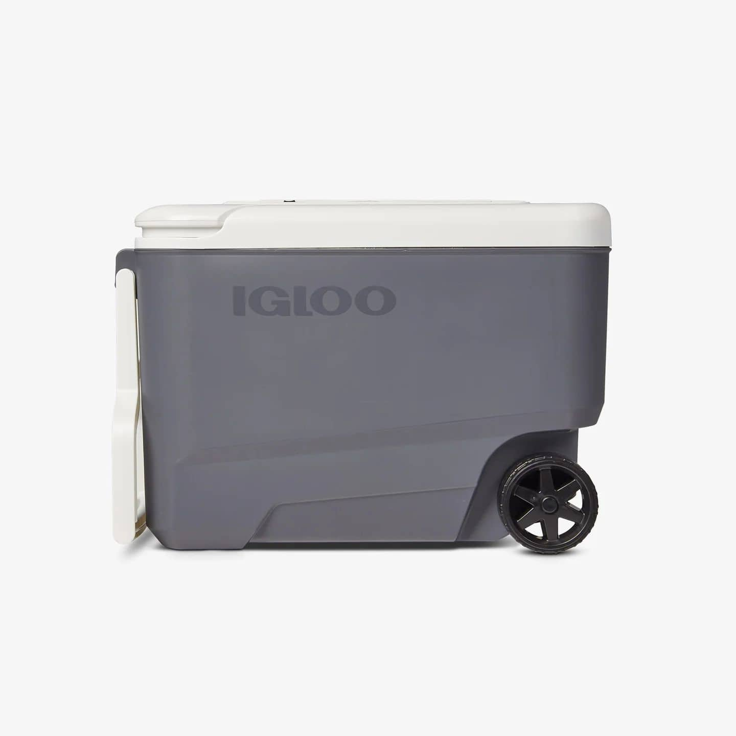 Igloo thermoelectric 2024 wine cooler