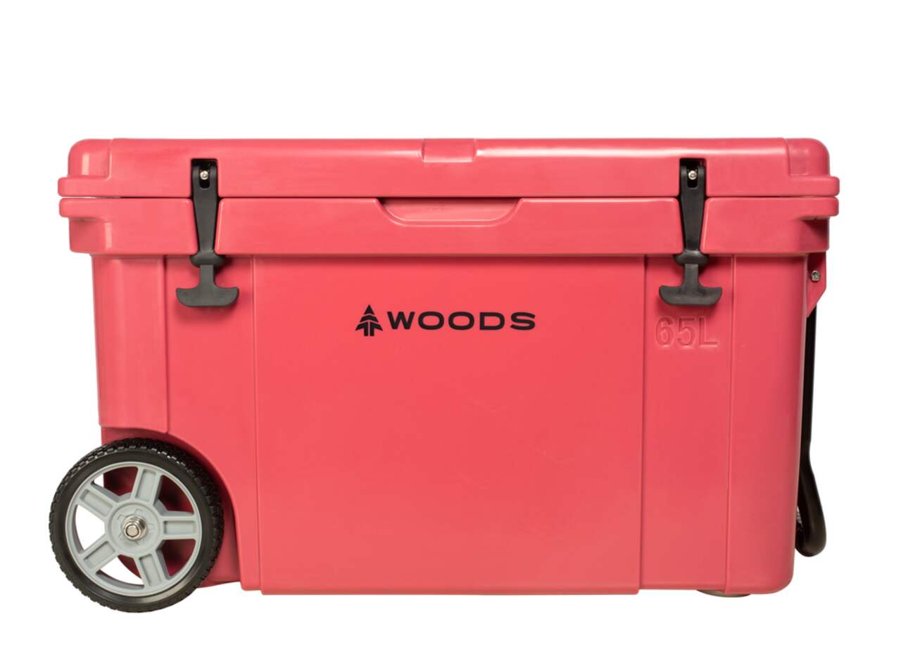 Small Cooler with Wheels and Handle, Perfect for