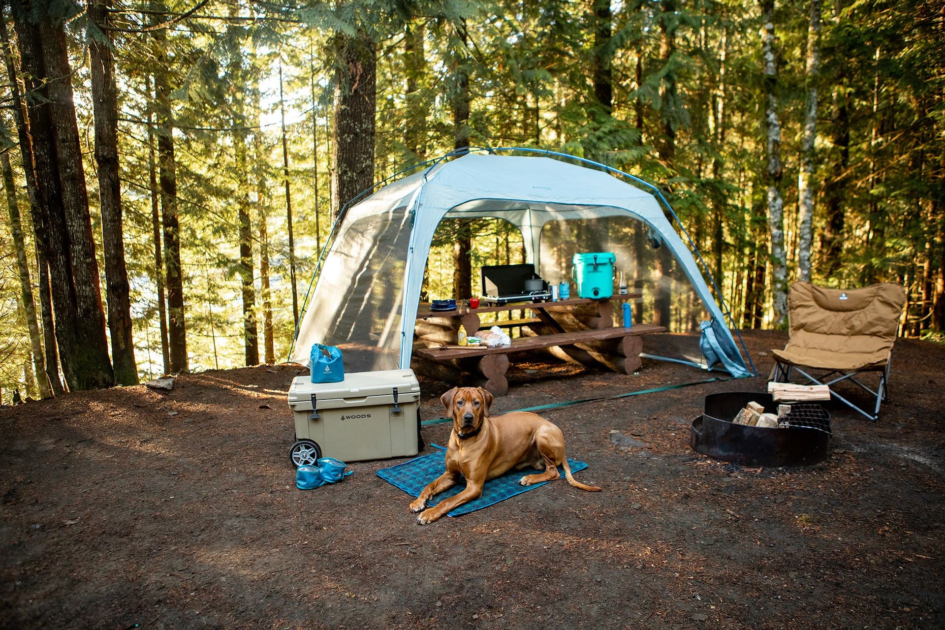 Dog hotsell camping pad