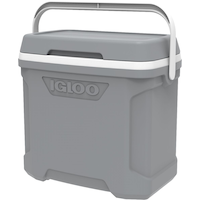 Igloo Profile II Hard Cooler, Grey, 30-qt