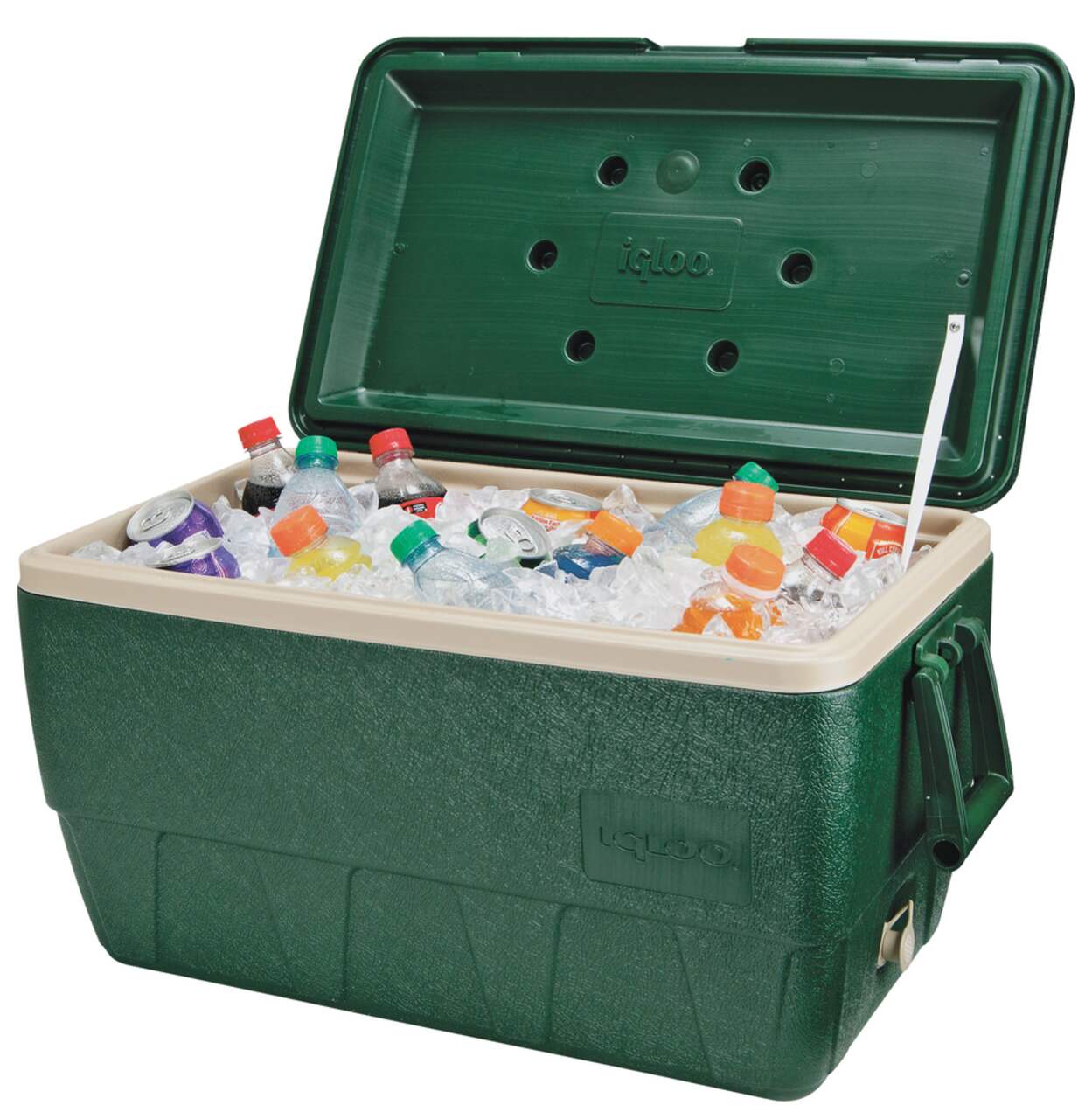 Igloo 52qt cheap