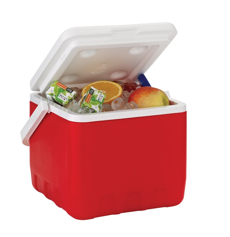 Broadstone Cooler, 9qt Canadian Tire