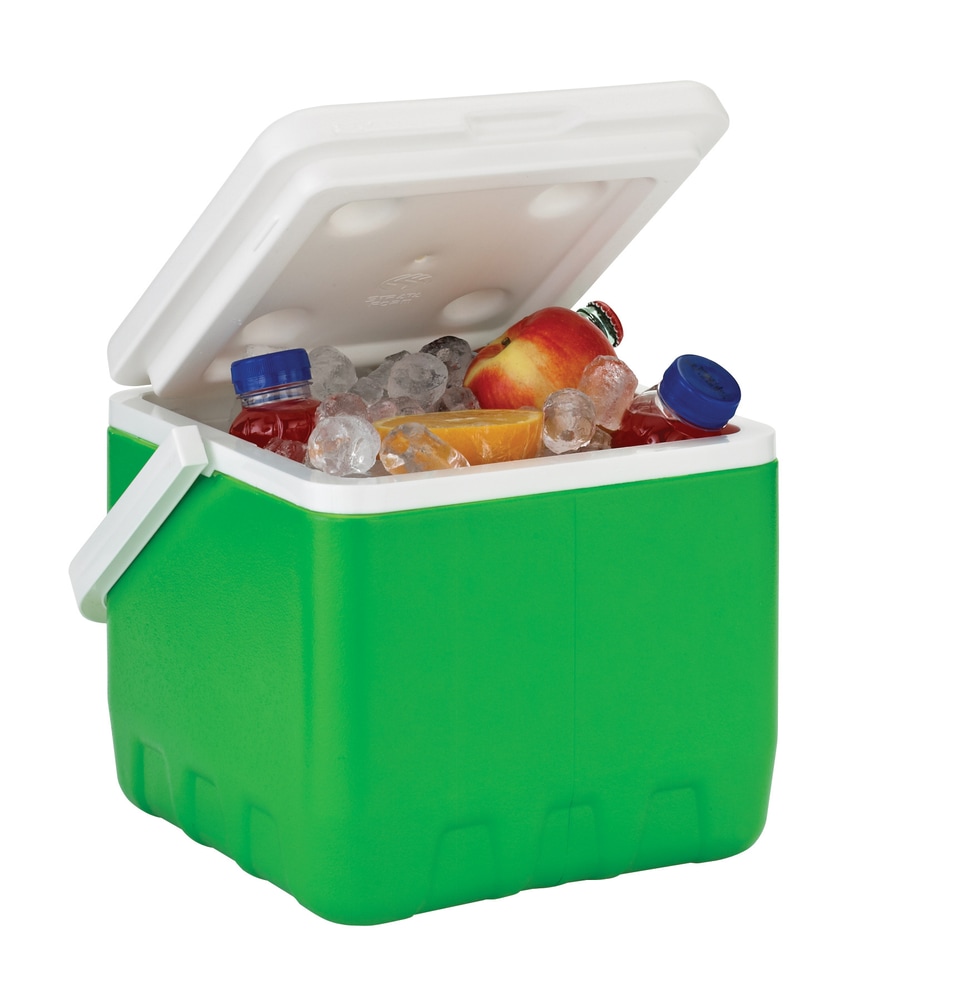 Broadstone Cooler, 9qt Canadian Tire