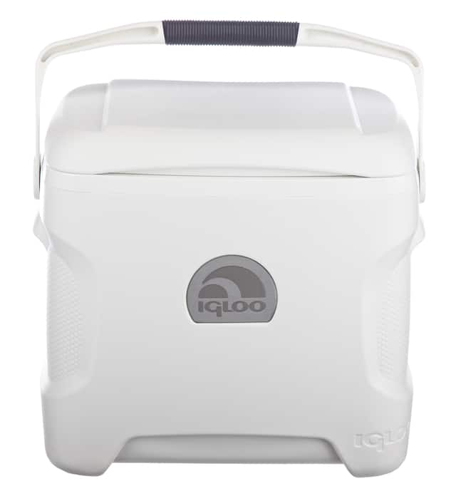 Igloo 30 quart sales cooler