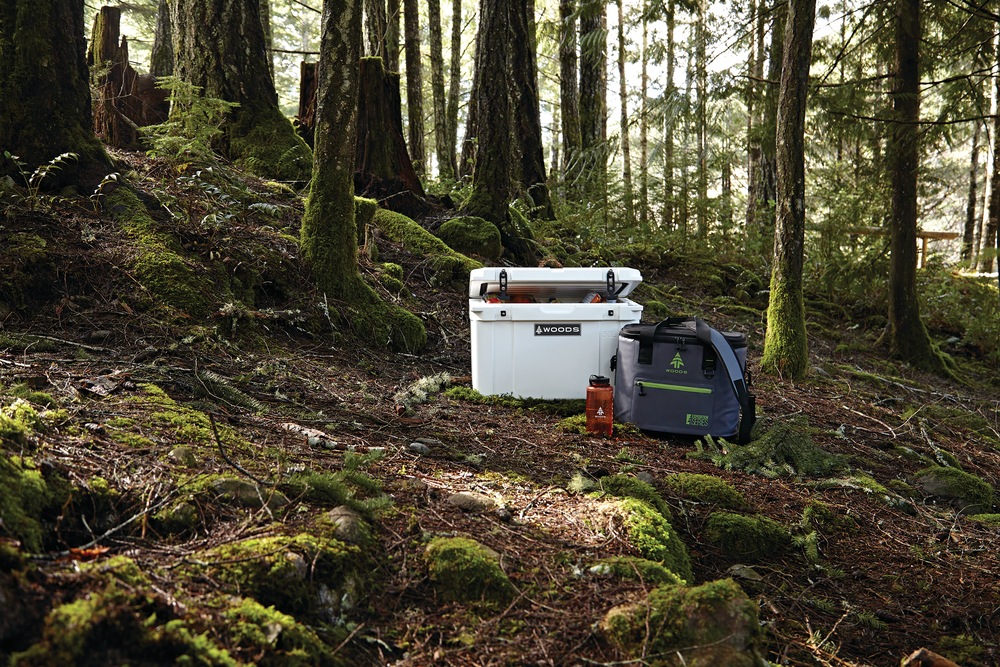 Woods™ Soft Cooler Tote, 36 Can Capacity, 41.4L, Grey Canadian Tire