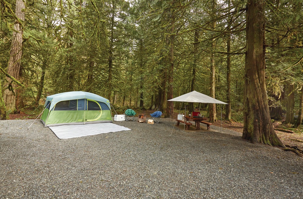 coleman light and fast 10 x 10 instant sun shelter