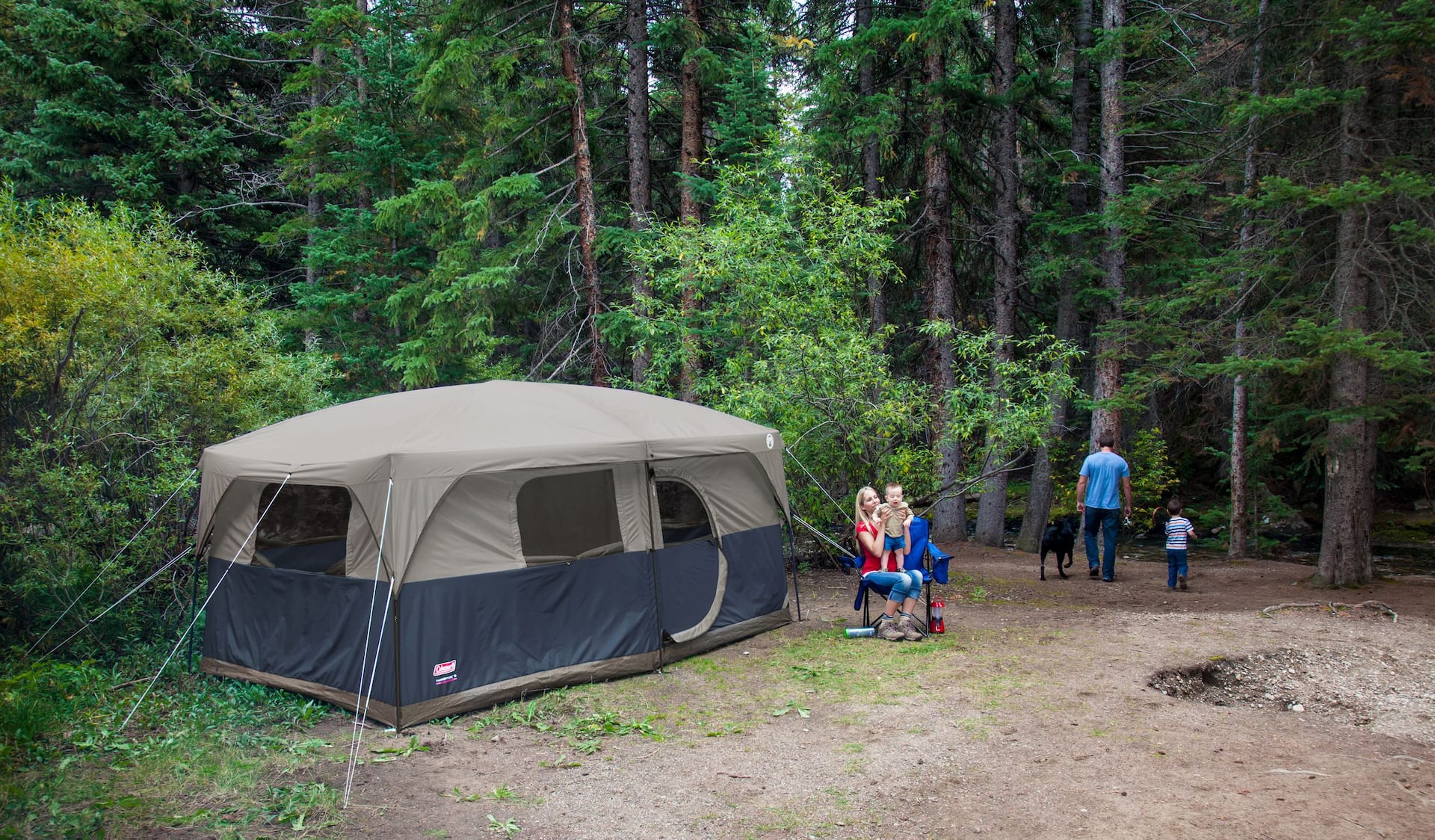 Coleman hampton cabin shop 9 person tent