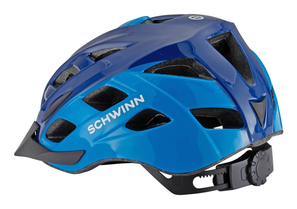 schwinn dash helmet