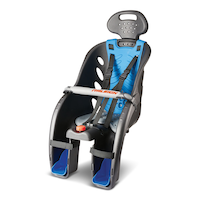 Raleigh Deluxe Bike Child Carrier