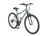 Bikes for new arrivals sale canadian tire