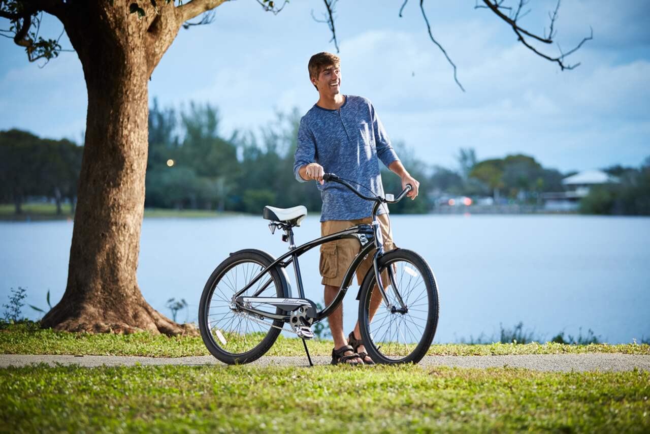 Schwinn cruiser hornet 2025