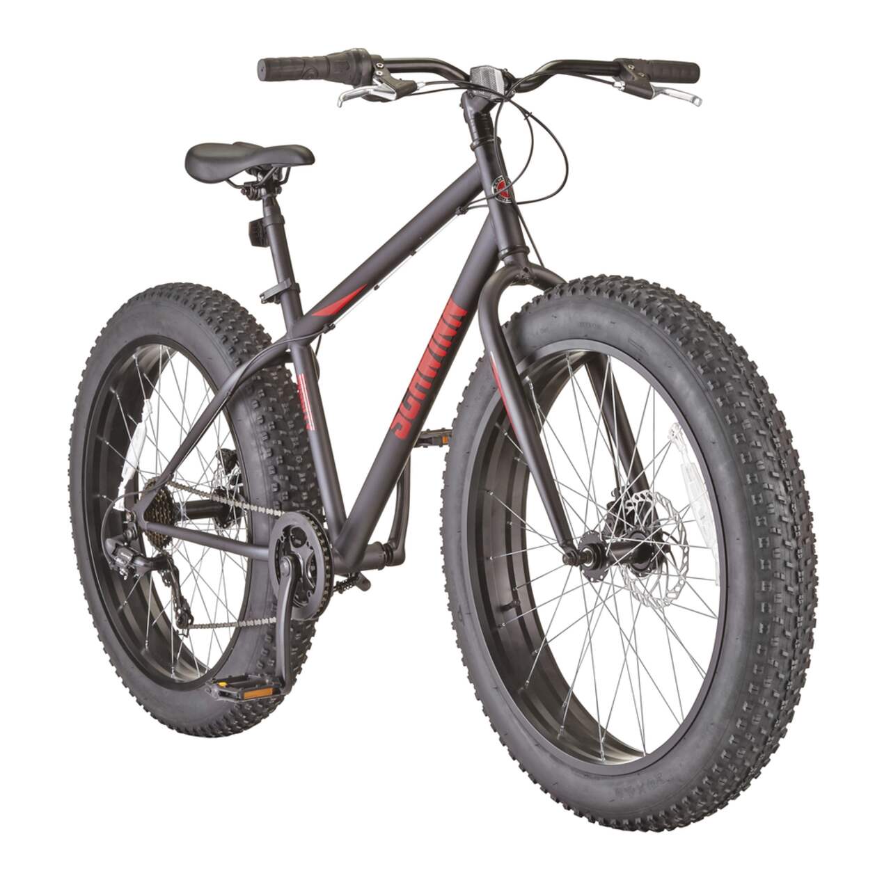 Schwinn bike 2024 fat tire