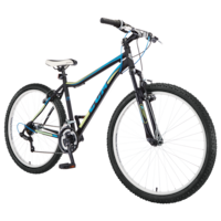 ccm 29er review