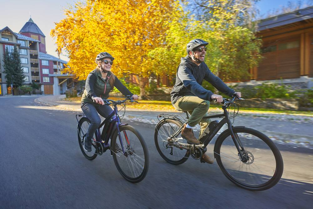 raleigh ladies ebike