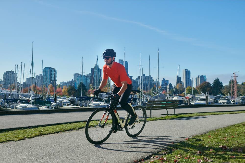 canadian tire road bike