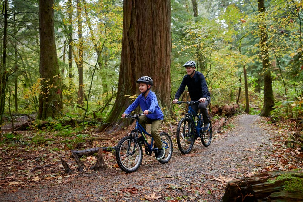 raleigh freeride mens mountain bike