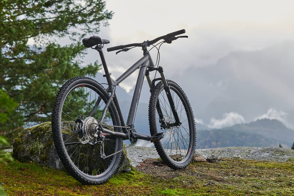 raleigh hardtail mtb