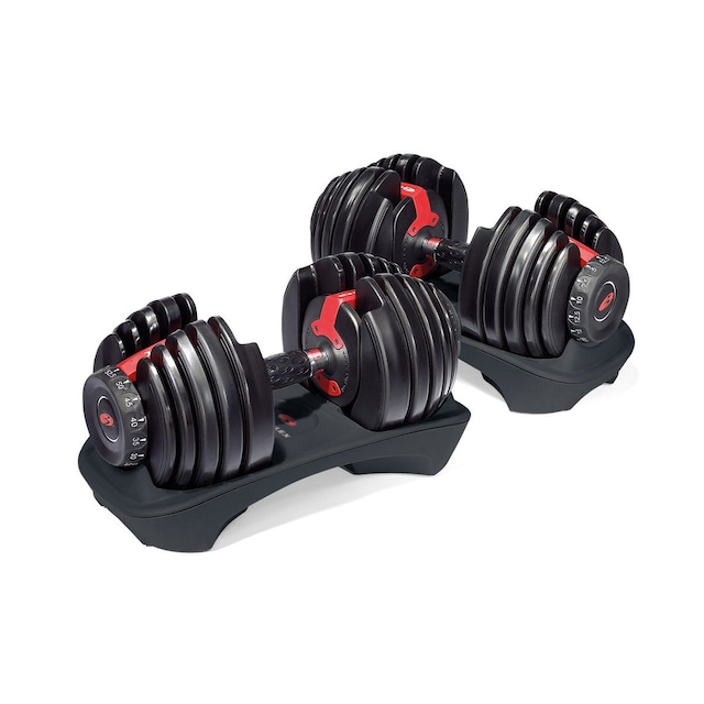 Bowflex ST552 Dumbbell Weights (Pair) Canadian Tire