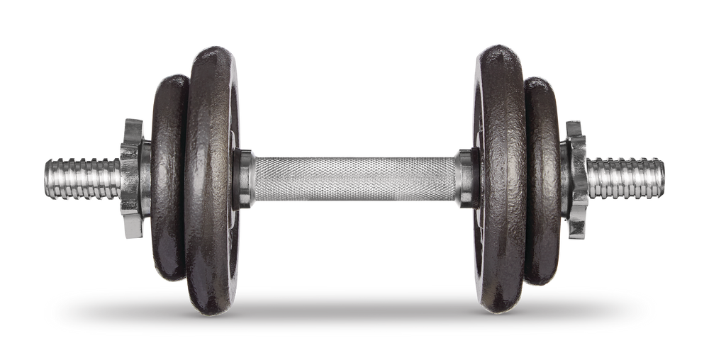 2 Bars Adjustable Dumbbell Weights Set 45 lb TWO 5lb & EIGHT 2.5lb Plates 