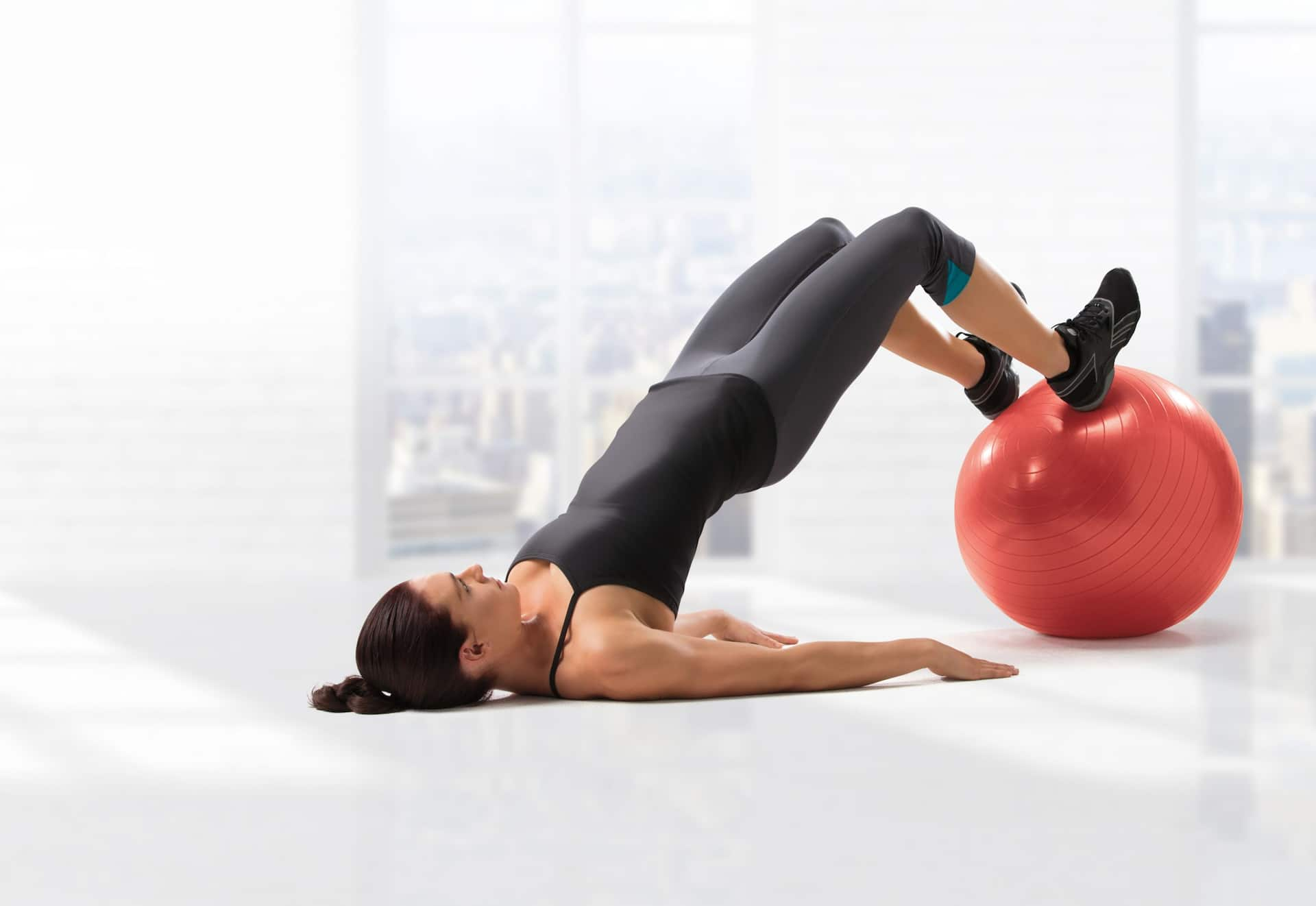 GoodLife Fitness Exercise Ball Canadian Tire