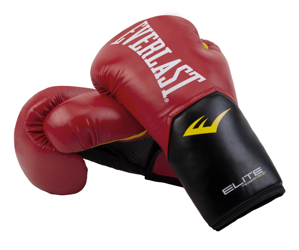 everlast punch bag mitts