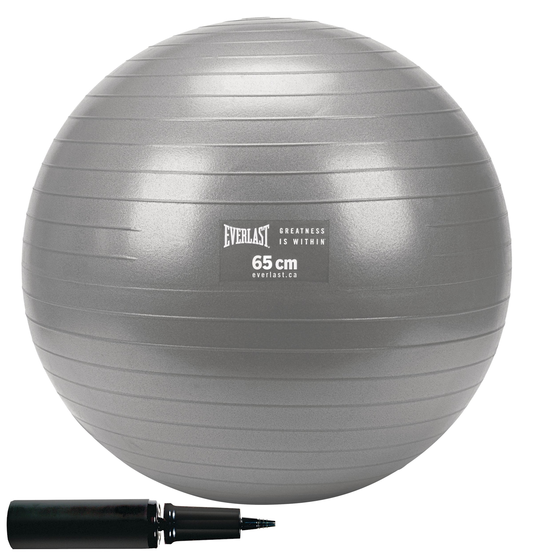 Everlast Exercise Ball Canadian Tire