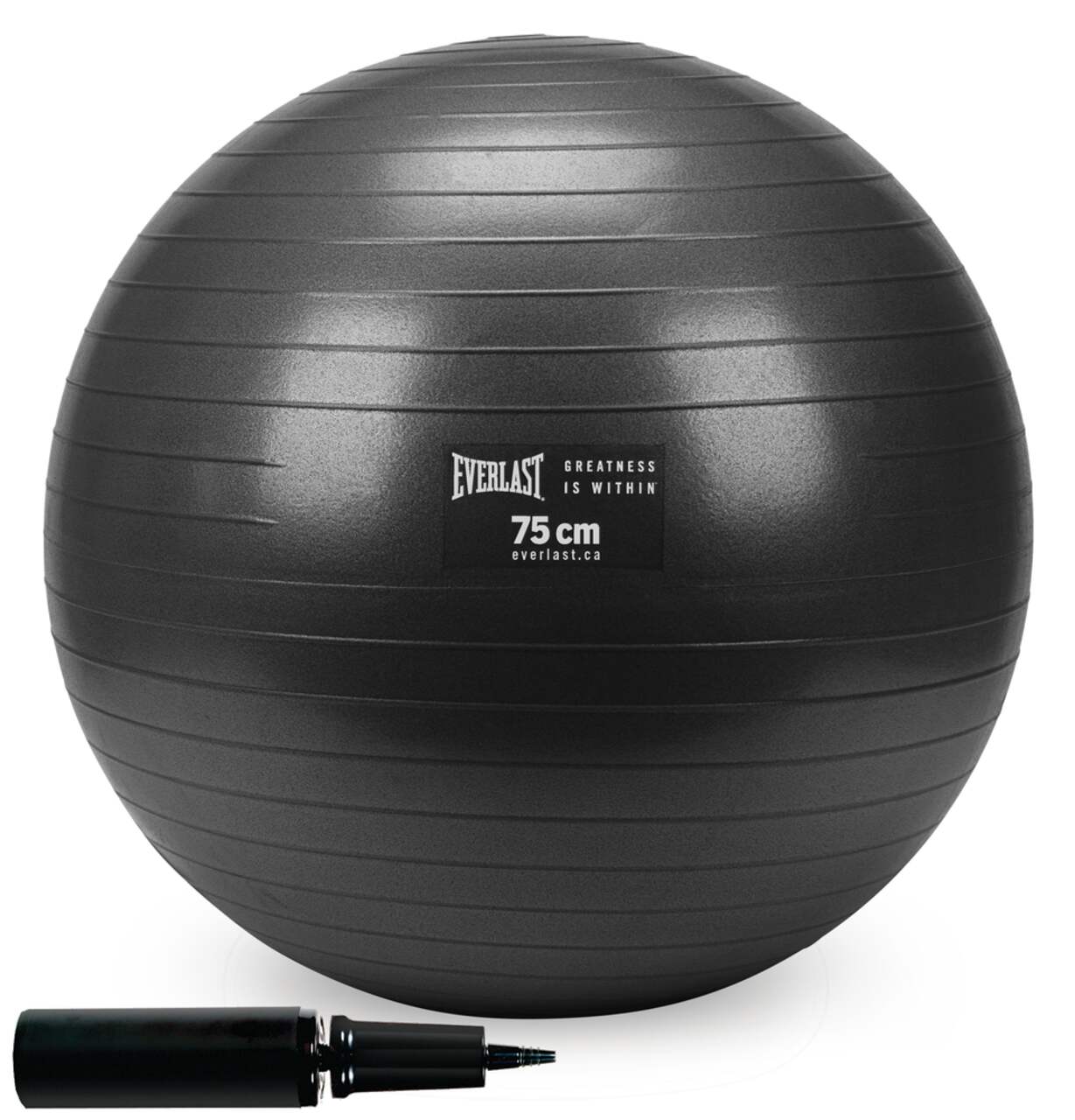 KM-Fit Balle de gymnastique 75cm Balle d'entraînement avec pompe à air Balle  de siège