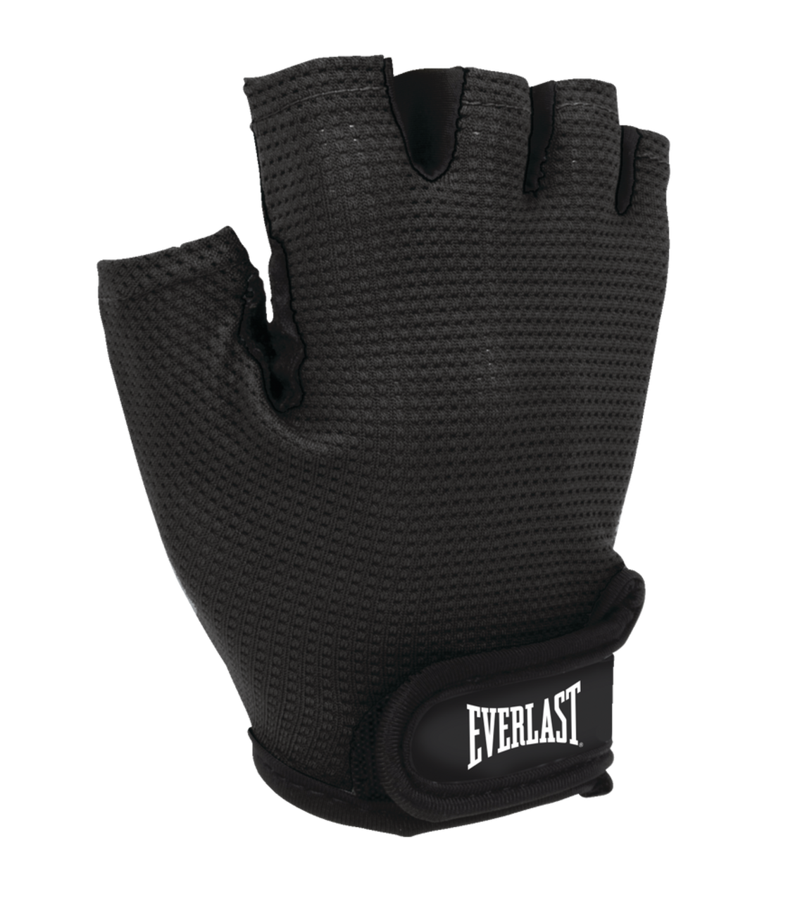 Everlast weight gloves sales
