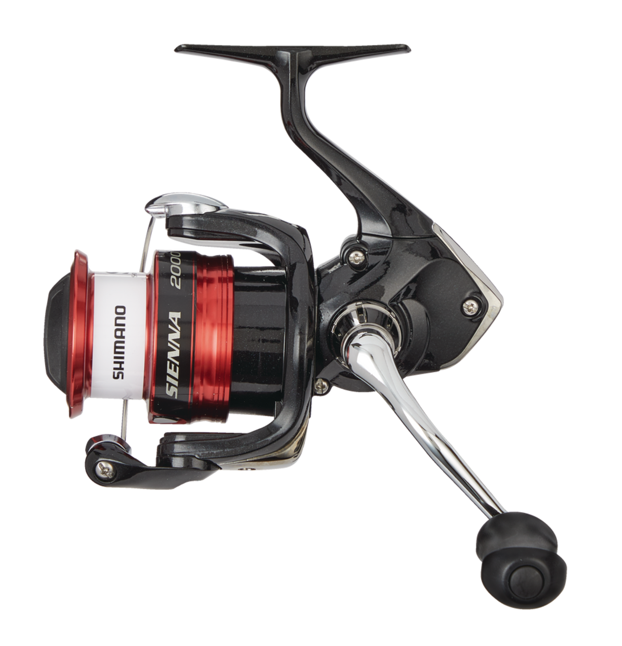 GEAR REVIEW - SHIMANO SIENNA REEL TOD COMBO 