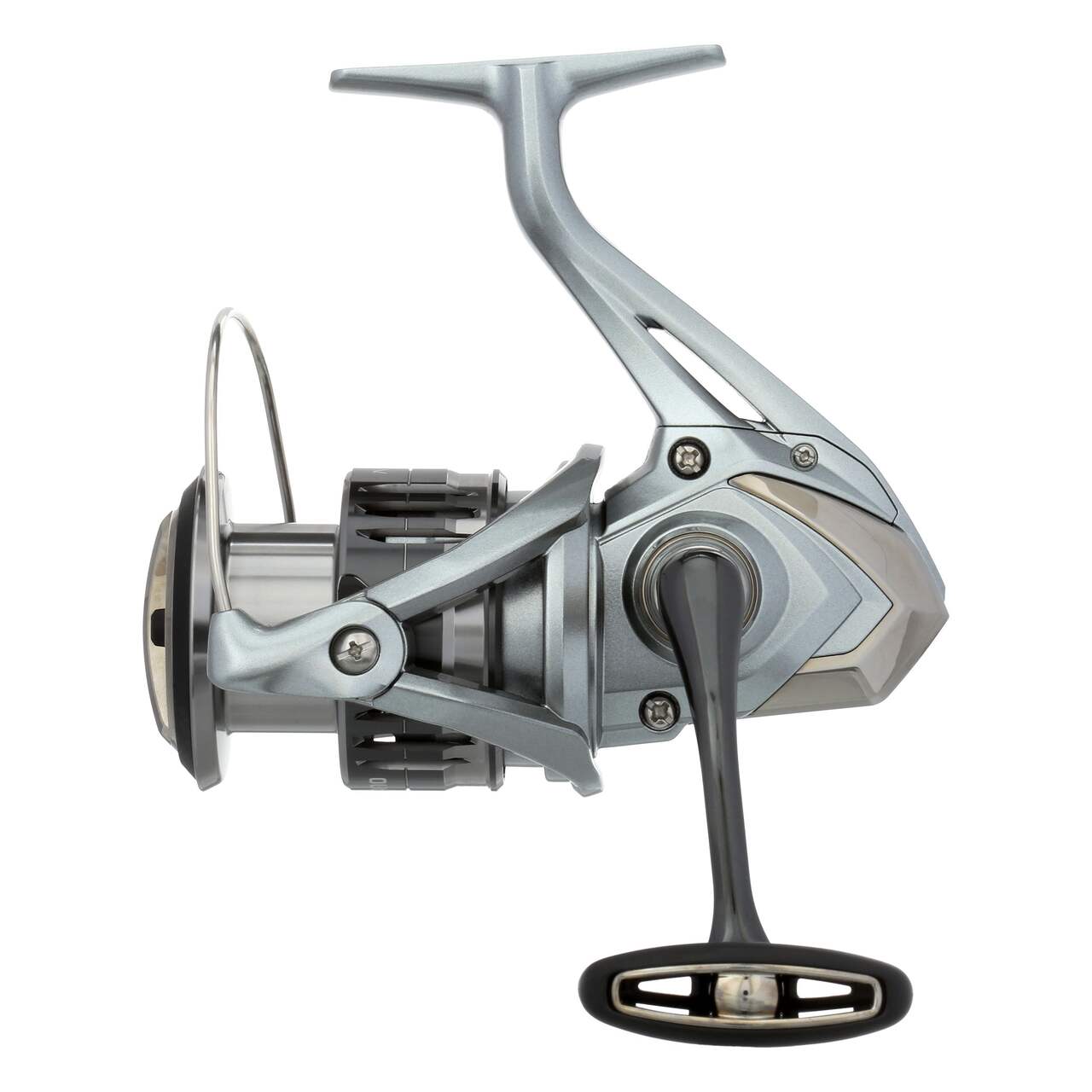 Shimano Nasci Spinning Fishing Reel, Saltwater Applicable, Right