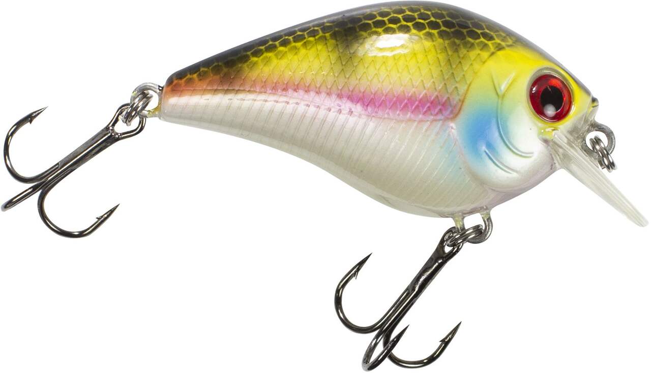 https://media-www.canadiantire.ca/product/playing/fishing/fishing-lures/0771261/xcalibur-xtr-square-bill-crankbait-blue-gill-1-4-oz-a4206937-dca7-42a4-8515-6acfedb803d1-jpgrendition.jpg?imdensity=1&imwidth=640&impolicy=mZoom