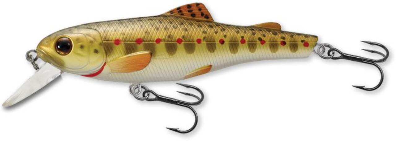 https://media-www.canadiantire.ca/product/playing/fishing/fishing-lures/0772069/livetarget-trout-fry-2-3-4-brown-trout-05b70215-4d2f-4975-a030-6634a3a075c1-jpgrendition.jpg?imdensity=1&imwidth=1244&impolicy=mZoom