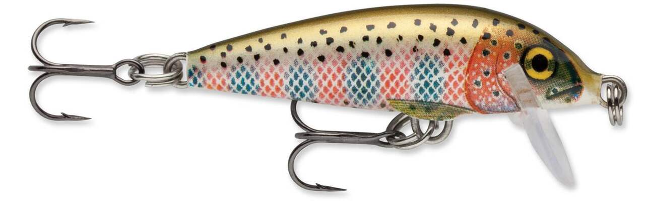 Rebel Jointed Minnow Fishing Lure - Rainbow Trout - 1 7/8 in :  : Sports, Fitness & Outdoors