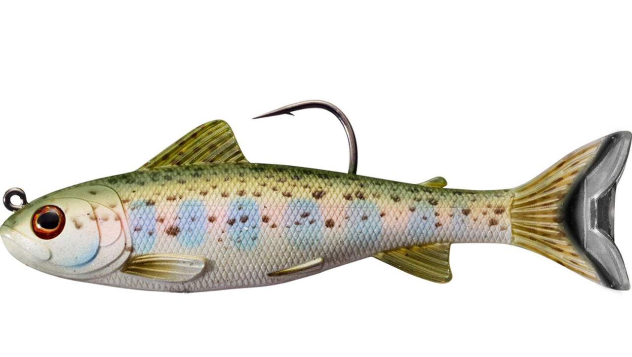 Live Target Rainbow Trout