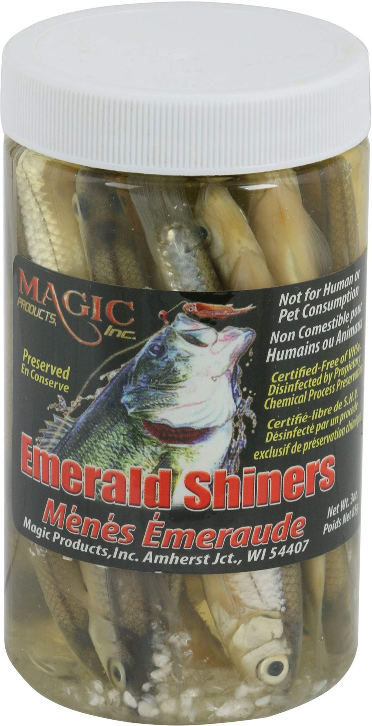 Magic Preserved Emerald Shiner Minnows, Large Front_Elevated