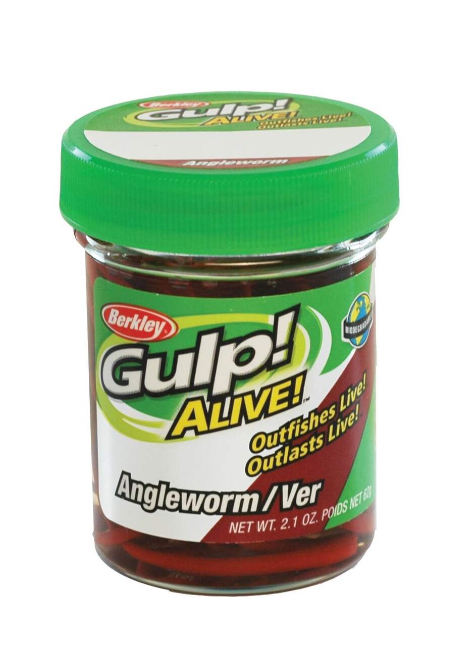 https://media-www.canadiantire.ca/product/playing/fishing/fishing-lures/0780619/berkley-gulp-alive-angle-worm-red-wiggler-1--33dafc3c-c98f-4bbf-ba9a-73c25f223801-jpgrendition.jpg?imdensity=1&imwidth=640&impolicy=mZoom