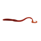Berkley Gulp Nightcrawler Worms 6 15cm 10pk ALL COLOURS Fishing tackle
