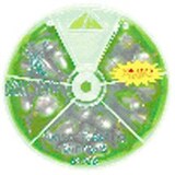 Non-Lead Egg Sinker Overhead_Flat