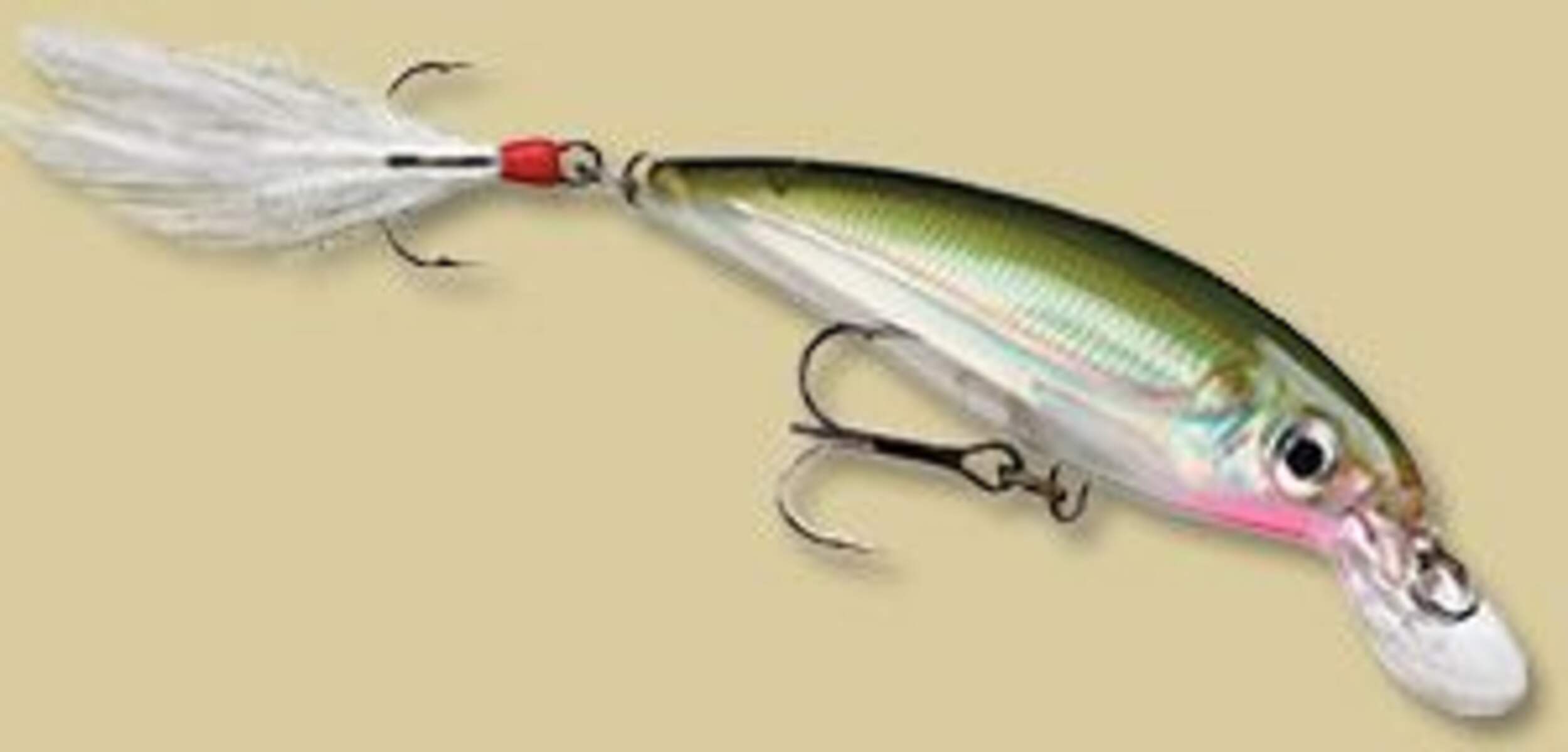 Leurre X-Rap Slashbait Overhead_Flat