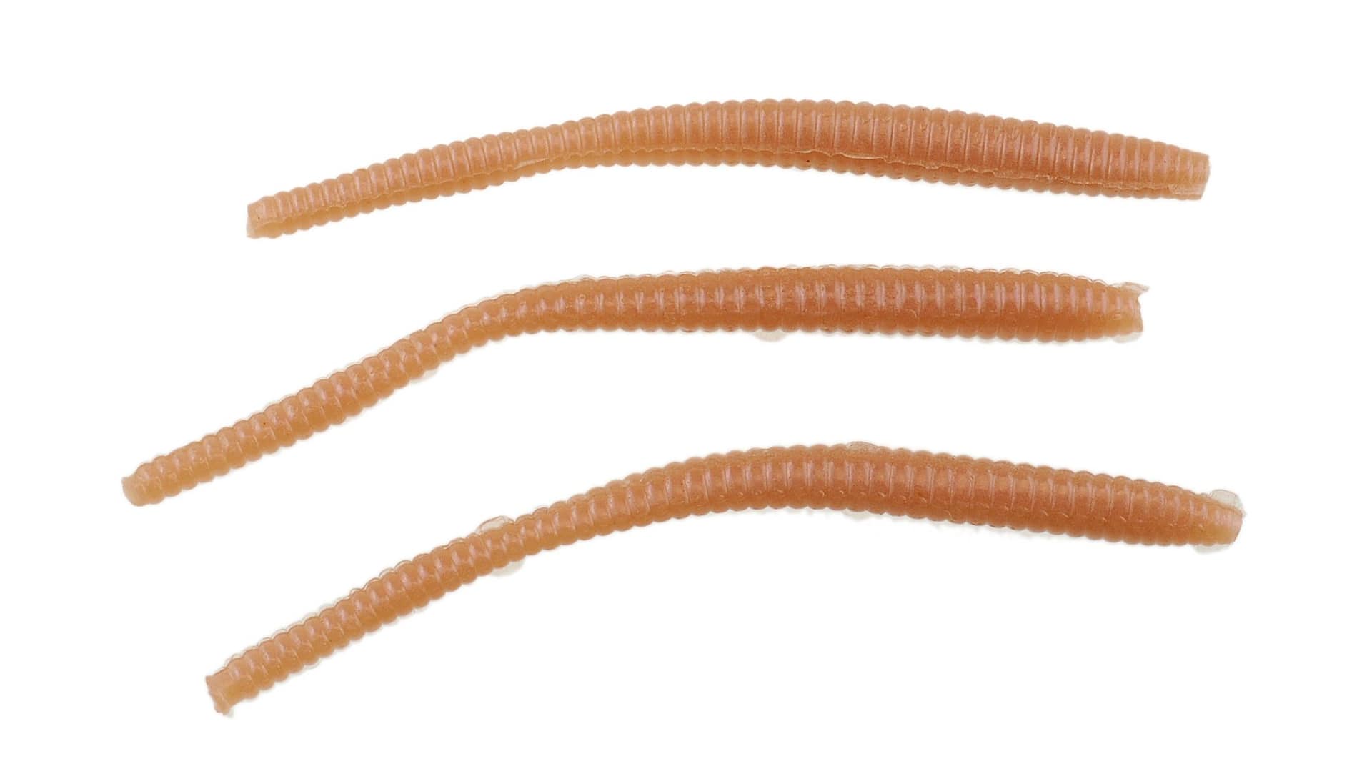 Artificial Fishing Worms Night Crawlers, Trout Worms, 10cm Worm