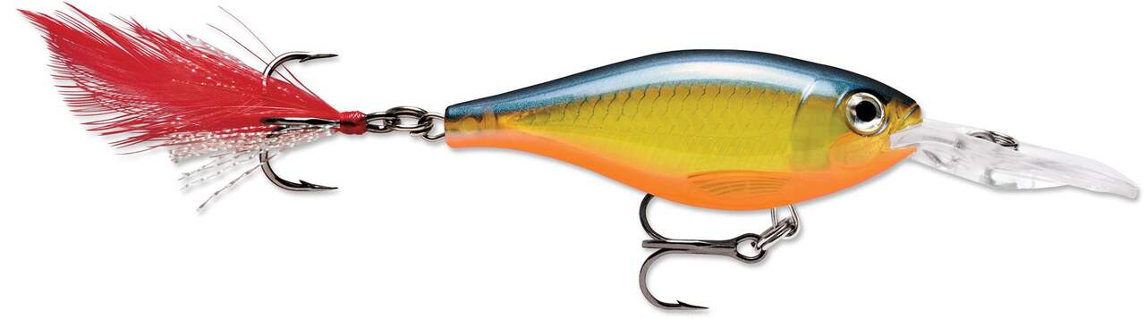 Rapala X-Rap Shad Lure, 2-1/2-in