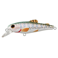 Trout Fly Lure, 2-in Side_Left