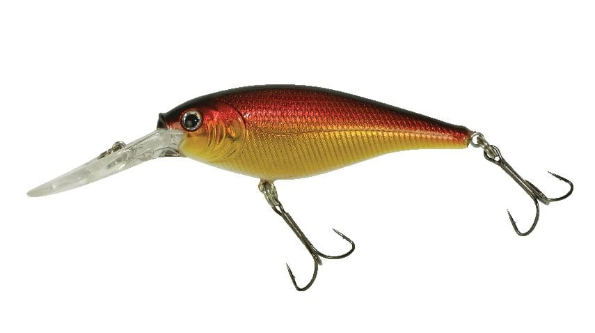  Berkley Flicker Shad Fishing Lure, Speckled Gold Shiner,  5/16 Oz, 2 3/4in 7cm Crankbaits, Size, Profile And Dive Depth Imitates Real  Shad, Equipped