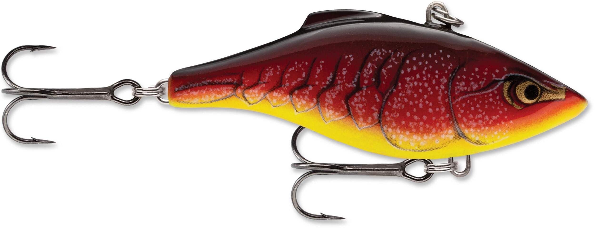 RAP RTLIN 07 RDFIRCR