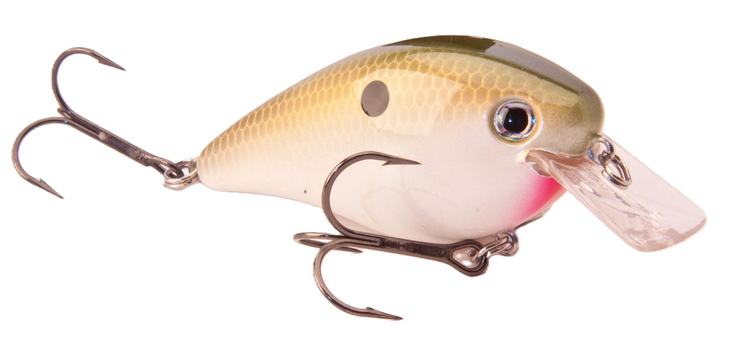 Strike King KVD Square Bill 2.5-in Shad Crankbait Front_Three_Fourths_Angled_Right