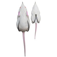 Lunkerhunt Furenzy Mouse 2-in White Topwater Bait Composite_or_Mixed