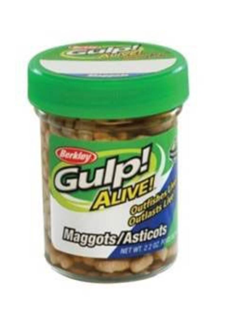 https://media-www.canadiantire.ca/product/playing/fishing/ice-fishing/0781271/berkley-gulp-alive-maggots-chartreuse-528d6b92-569a-416f-96cf-4fa54c04d193-jpgrendition.jpg?imdensity=1&imwidth=1244&impolicy=mZoom